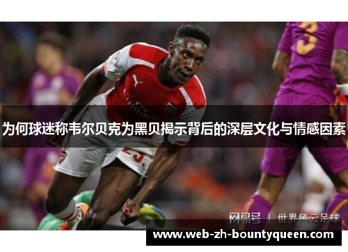 为何球迷称韦尔贝克为黑贝揭示背后的深层文化与情感因素