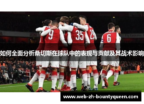 如何全面分析桑切斯在球队中的表现与贡献及其战术影响