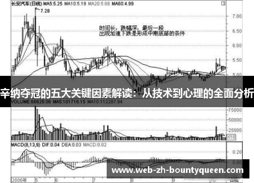 辛纳夺冠的五大关键因素解读：从技术到心理的全面分析